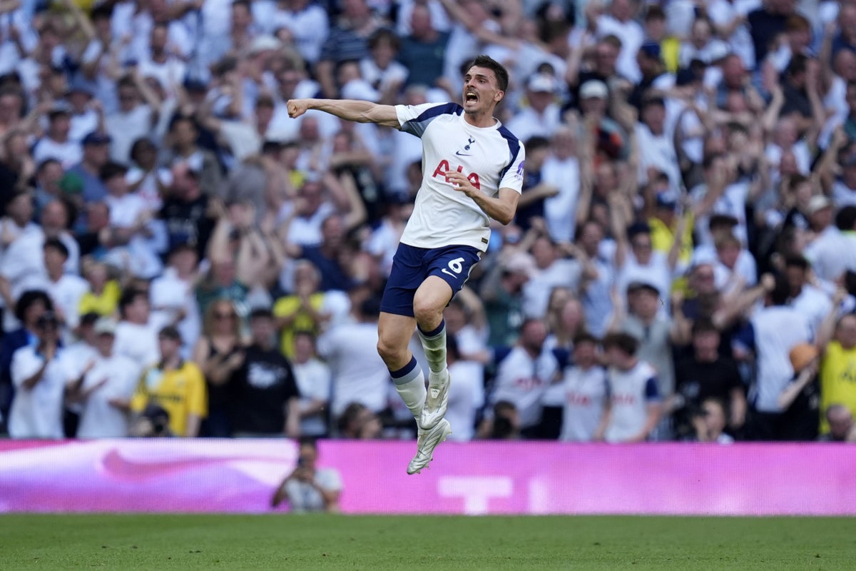 Joao Palhinha’s goal ensures Spurs survive amid joyous scenes in north London