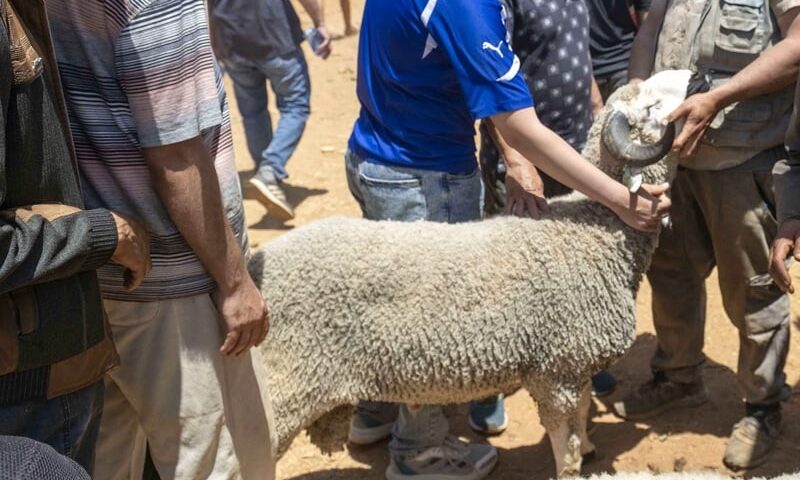 المراقبة تسقط “شناقة” بالدار البيضاء