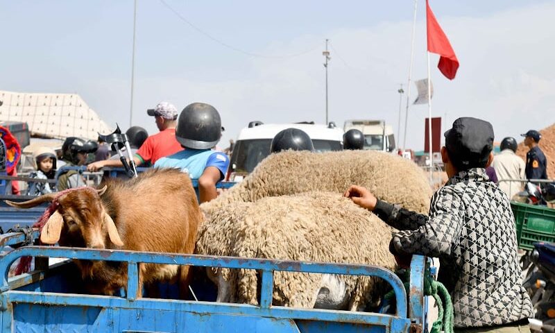 “حملات العيد” تذكر بأخطار الطريق