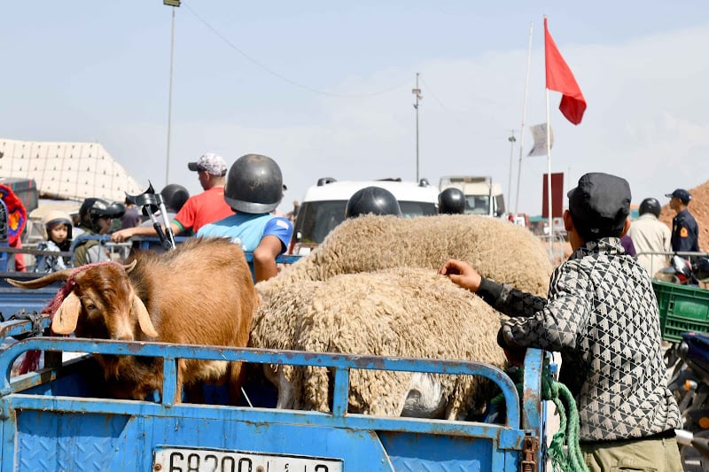 “حملات العيد” تذكر بأخطار الطريق