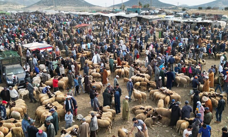 استعمال “الكاش” يضغط على سيولة البنوك المغربية في عيد الأضحى