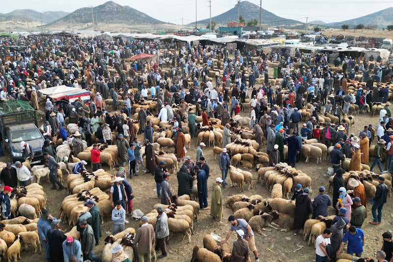 استعمال “الكاش” يضغط على سيولة البنوك المغربية في عيد الأضحى