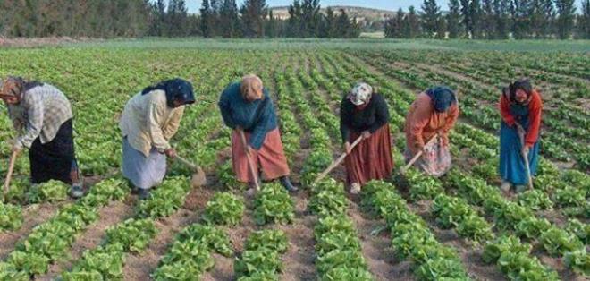 أكثر من 200 امرأة عاملة في القطاع الفلاحي تنتفعن بخدمات قافلة صحية بالمزونة من ولاة سيدي بوزيد