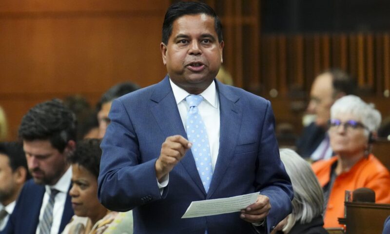 Lawful access bill not ‘optional’ but will see privacy amendments: minister