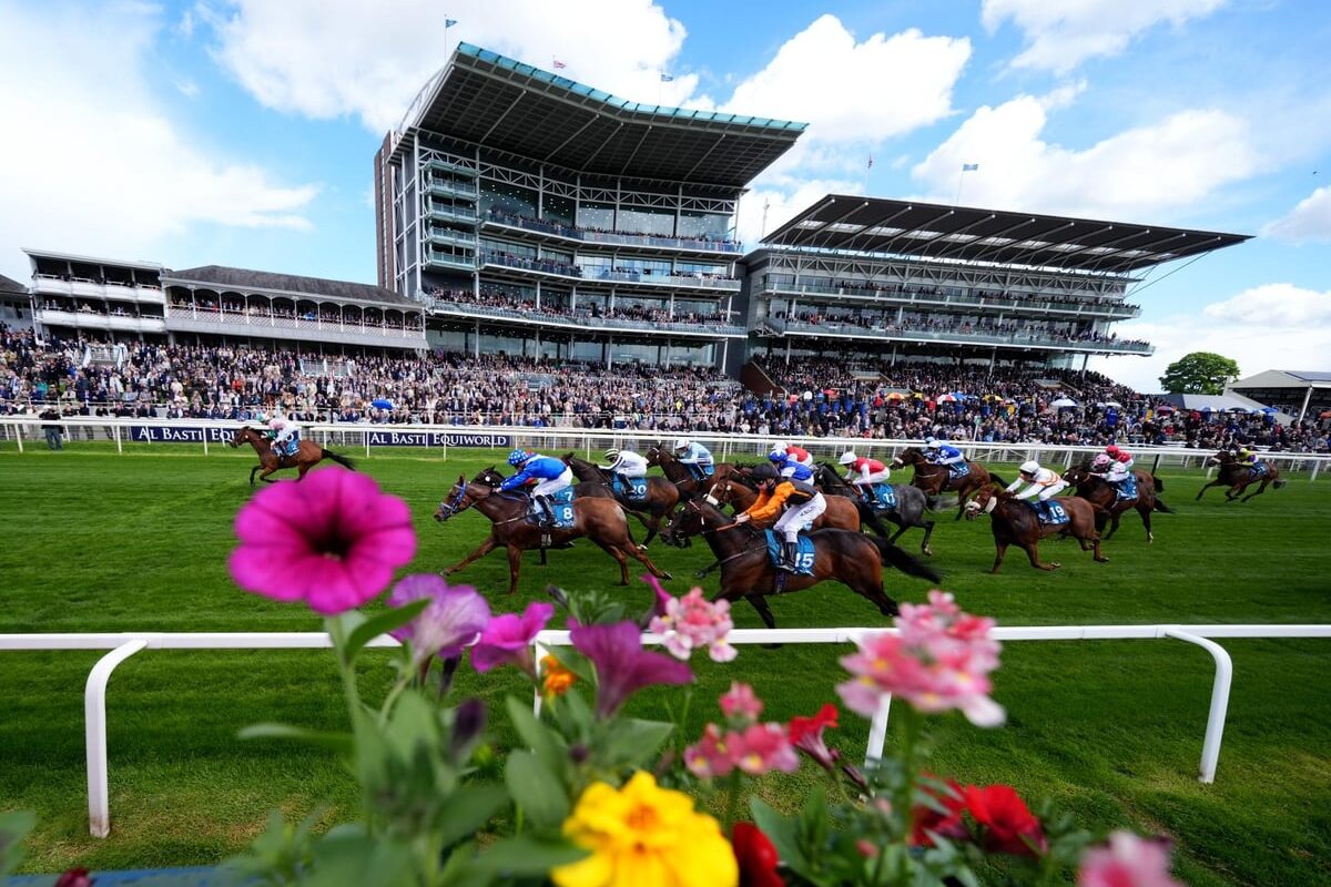 Racing set to heat up at York after high stakes Dante Festival proves a success