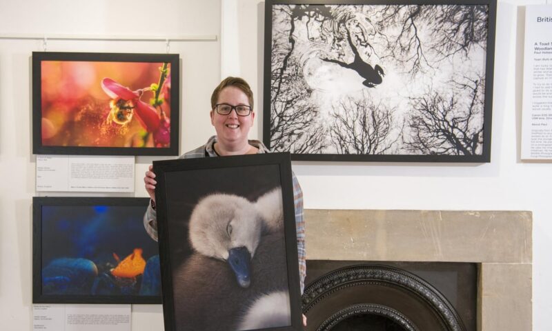 British Wildlife Photography Awards: Yorkshire photographer scoops top prize at prestigious awards