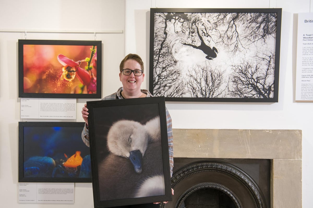British Wildlife Photography Awards: Yorkshire photographer scoops top prize at prestigious awards