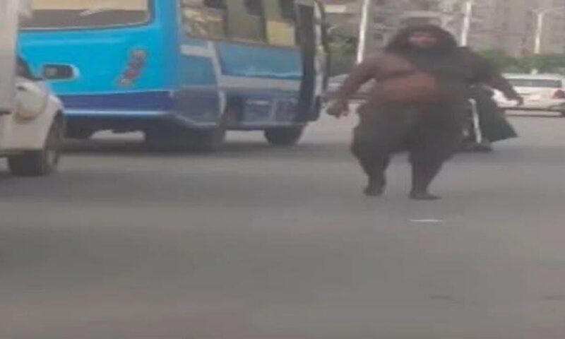 “رجل الغابة”.. عملاق بمظهر غريب يثير الرعب في مصر الجديدة