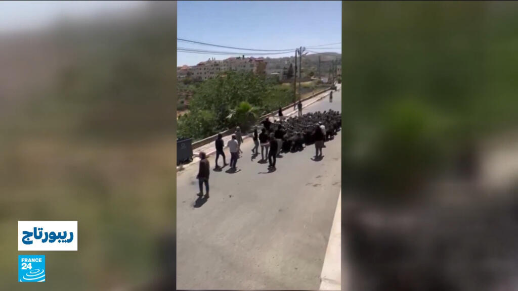 “سرقة المواشي”.. تصعيد جديد في هجمات المستوطنين على الفلسطينيين في الضفة الغربية المحتلة