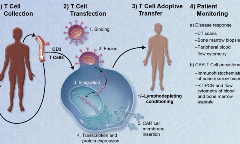 Understanding the potential of CAR-T therapy in autoimmune disease treatment