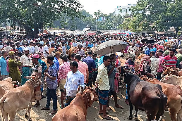 Two die after being gored by a buffalo at a cattle market
