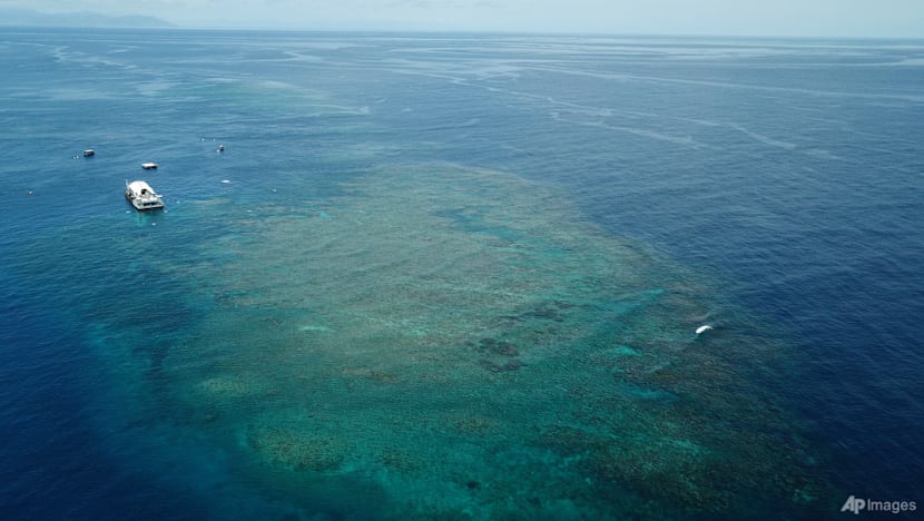 Man dies after shark attack at Australia’s Great Barrier Reef