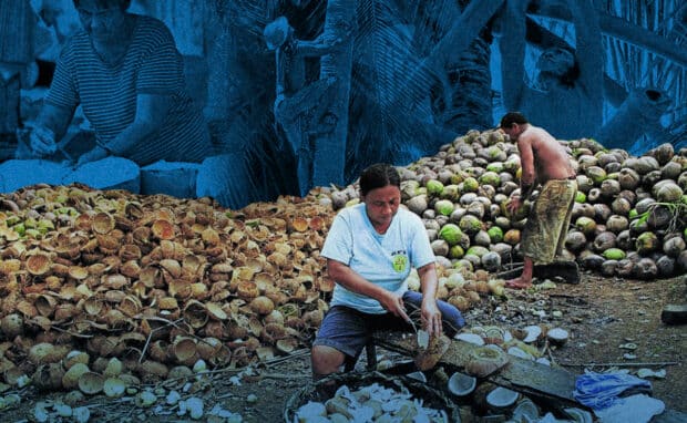 Future of two coco institutions serving farmers in limbo