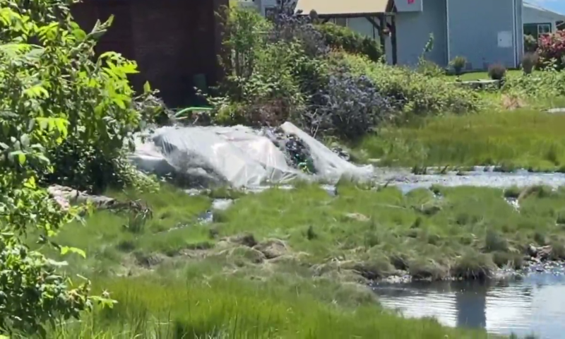 Sewage emergency in the Comox Valley means thousands can’t flush toilets