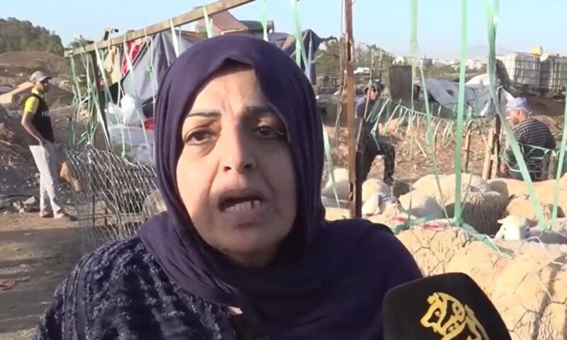 فيديو يغضب الجزائريين.. شاب يهاجم سيدة بسبب دخولها سوقاً للأضاحي