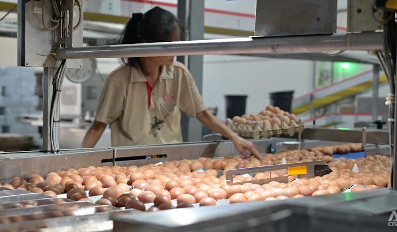 Seng Choon egg farm to move after land-use changes announced for Lim Chu Kang; four other farms affected