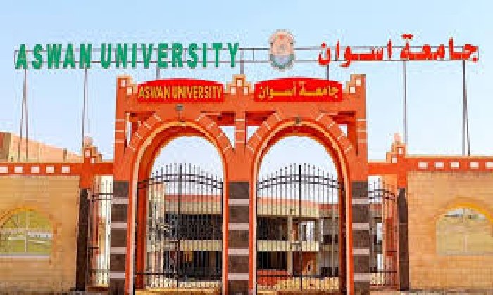 «جامعة أسوان» تستعد لإطلاق بوابة إلكترونية لتسويق إبداعات الطلاب وتعزيز الهوية الأسوانية