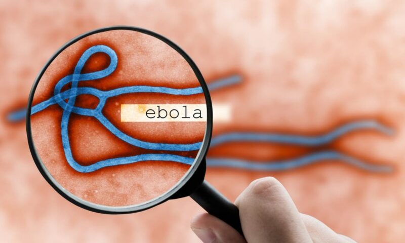 الصحة العالمية: توسيع نطاق فحوصات فيروس إيبولا في الكونغو