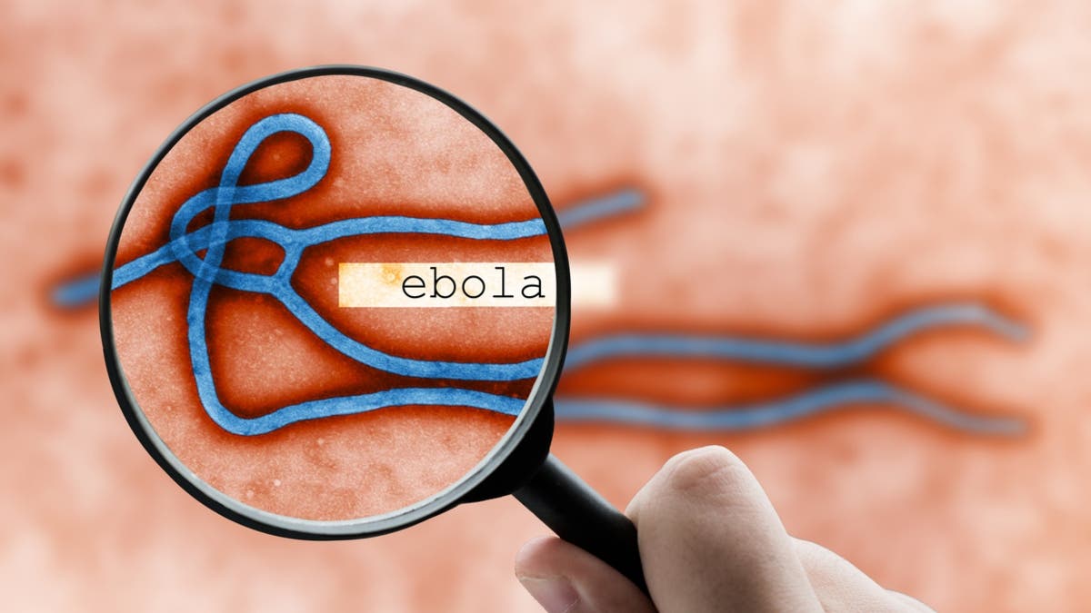 الصحة العالمية: توسيع نطاق فحوصات فيروس إيبولا في الكونغو
