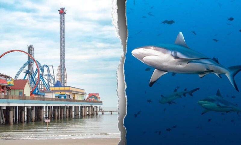 Shark attack turns holiday boating trip into bloody fight for teen’s survival