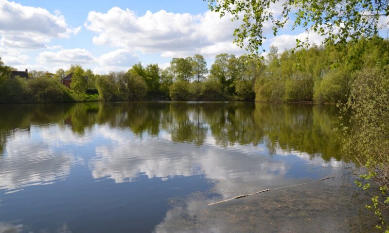 Body of teenage boy found after he went missing while swimming in lake