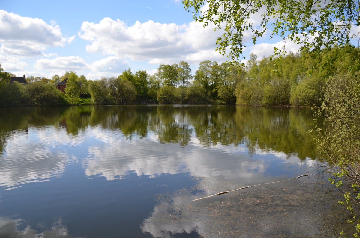 Body of teenage boy found after he went missing while swimming in lake