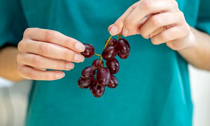 Popular fruit may help protect your skin from the sun, new study suggests