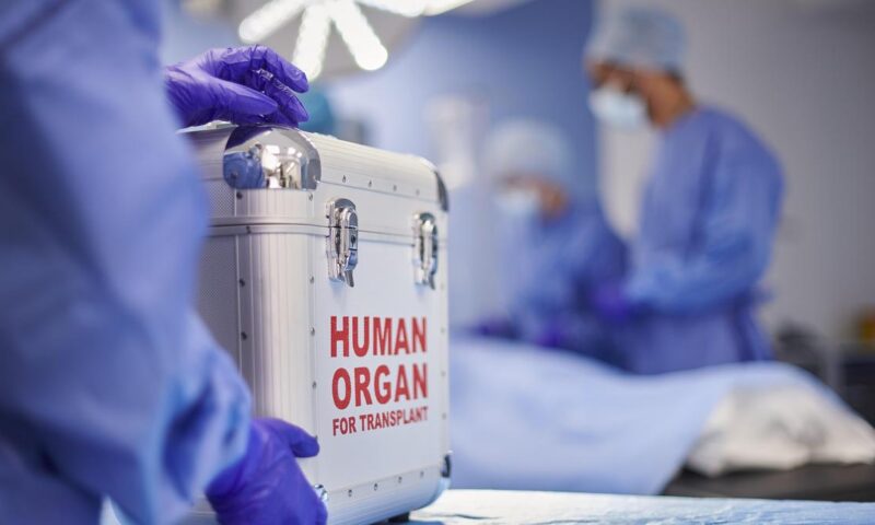 Maternity need not be proved through DNA test before donating kidney to child: Madras High Court