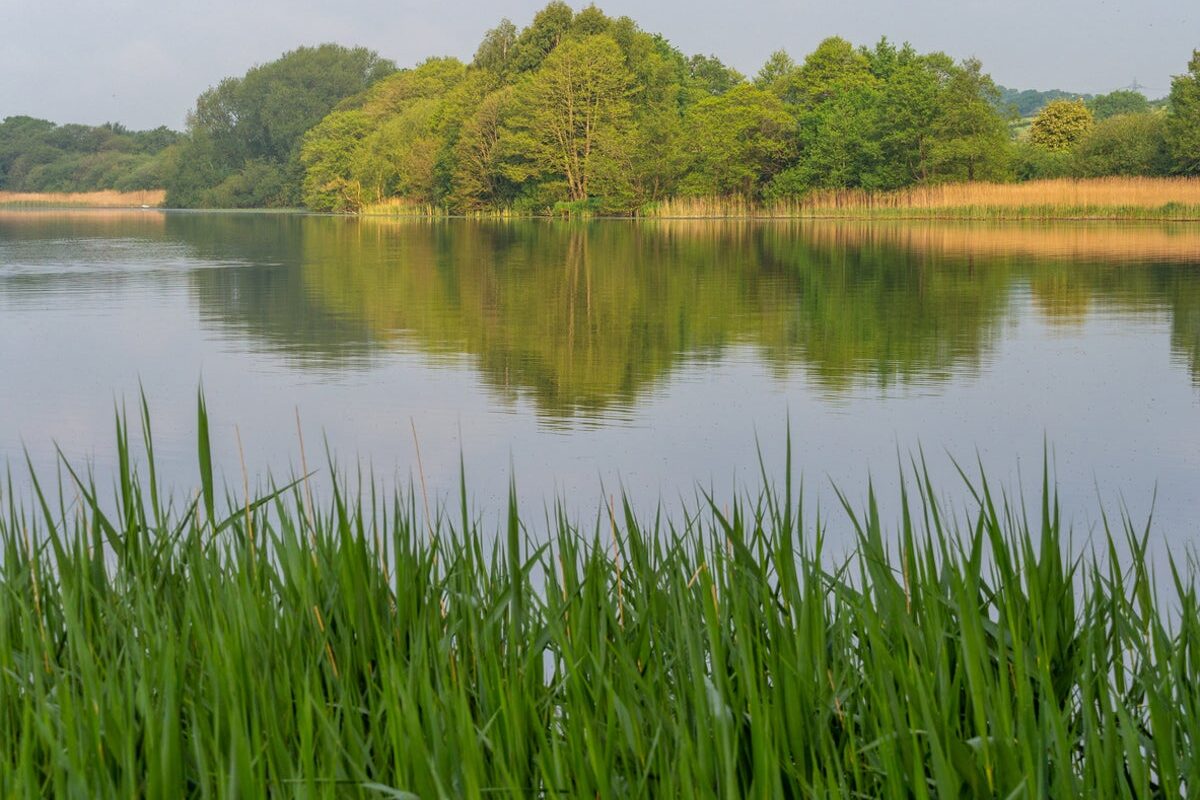 Body found in search for teenage boy, 17, last seen in Cheshire lake