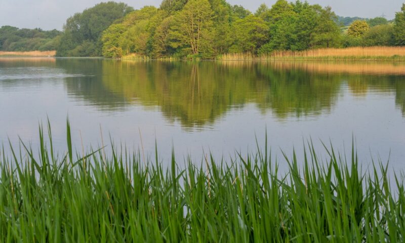 Body found in search for teenage boy, 17, last seen in Cheshire lake