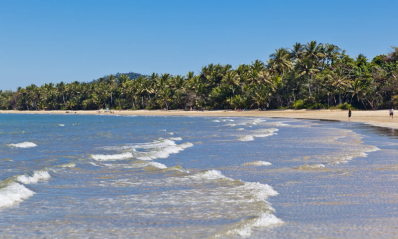 Man killed in shark attack off Australia’s north-east coast