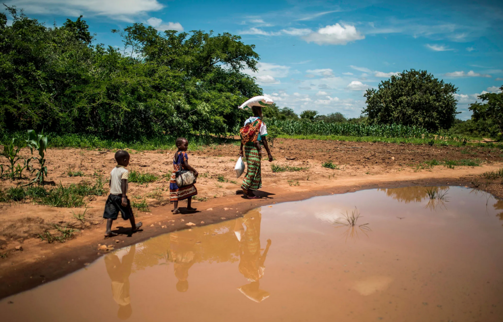 ‘Super El Niño’ threat puts Africa at critical climate crossroads – Report
