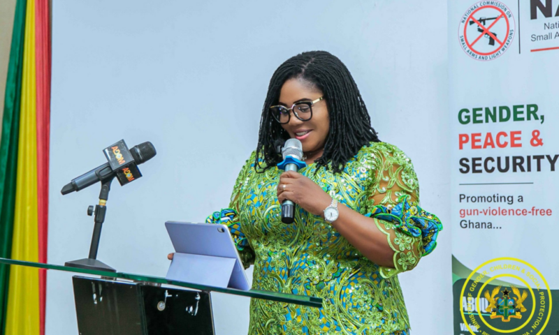 NACSA Seminar: Gender Minister demands an increased role for women to end gun violence