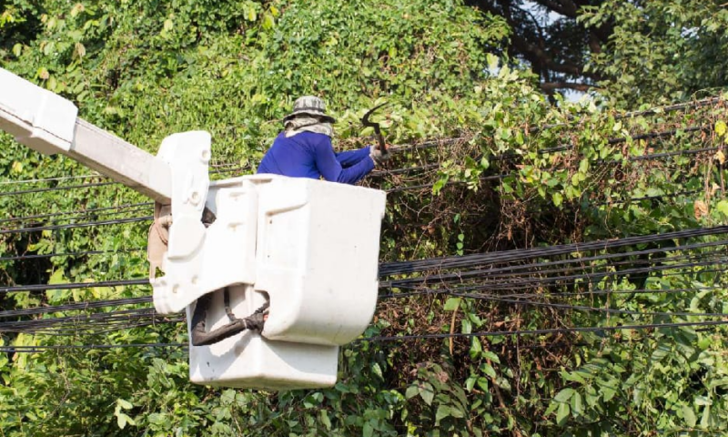 ECG launches major vegetation clearance drive to cut power outages in Ashanti Region