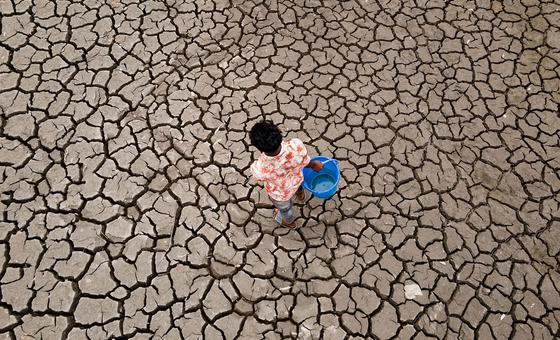 Global temperatures set to stay near record levels: UN weather agency