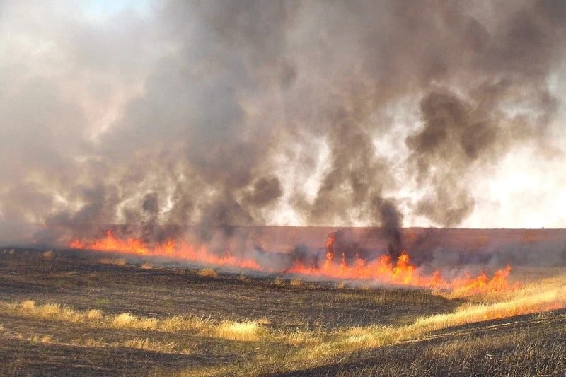 الحرائق تلتهم مساحات زراعية شاسعة مع انطلاق موسم الحصاد بالمغرب