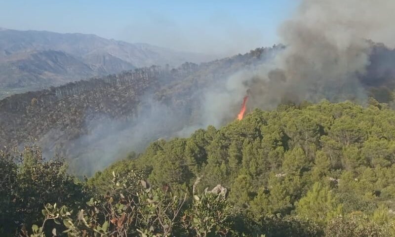 نشرة إنذارية تحذر من الحرائق بالمغرب