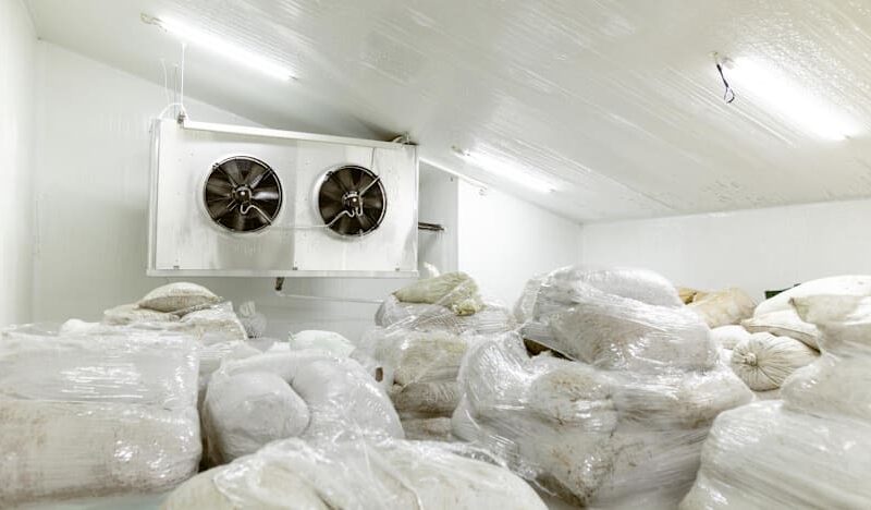 Singapore to tighten rules on refrigerants used in supermarkets, vehicles