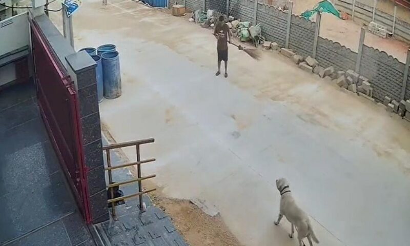 Delivery agent’s kindness, head constable’s persistence help find missing dog