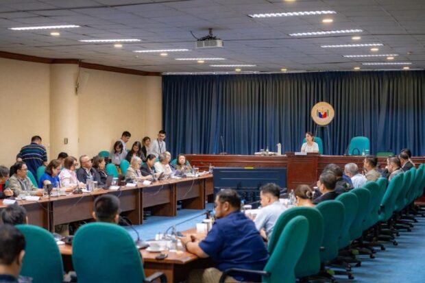Legarda leads diagnosis of Antique-Aklan power, connectivity gaps