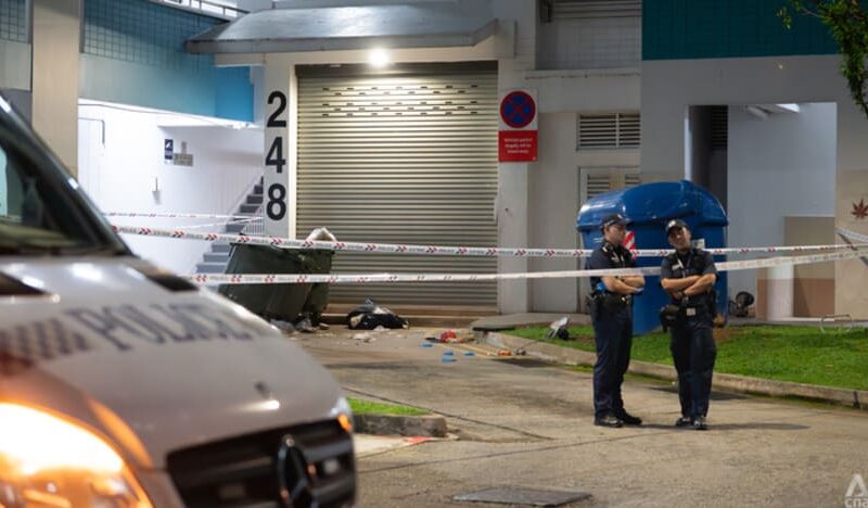 Man, 22, charged with murdering 21-year-old woman in lift at Choa Chu Kang block