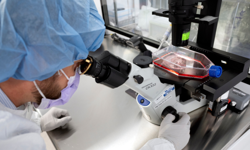 New cancer tech sends chemo straight to tumors