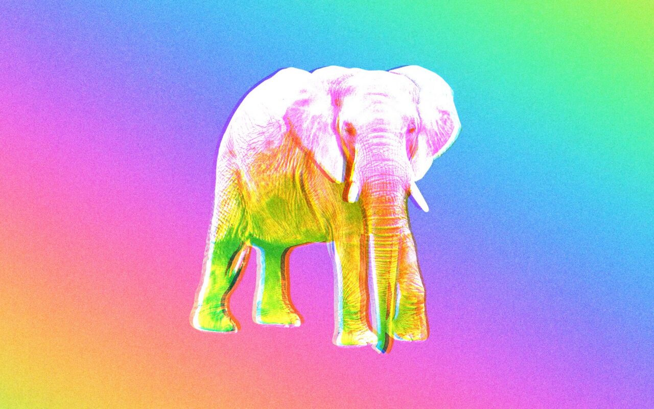 The Man Behind the Trump Administration’s Favorite Psychedelic