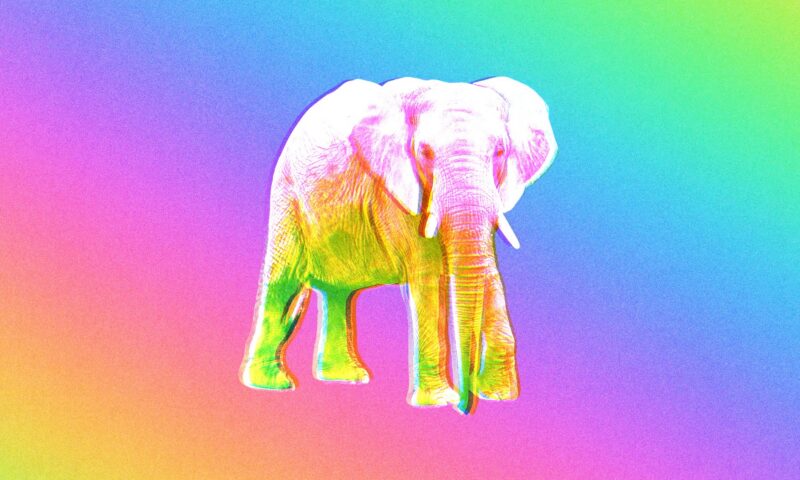 The Man Behind the Trump Administration’s Favorite Psychedelic