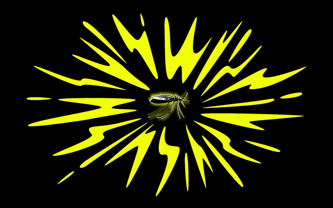 America Is Missing Out on the Ultimate Mosquito Weapon