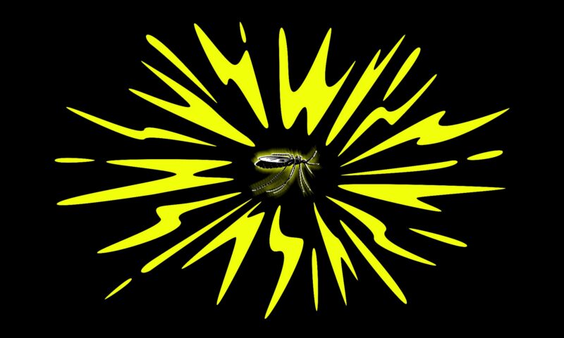 America Is Missing Out on the Ultimate Mosquito Weapon