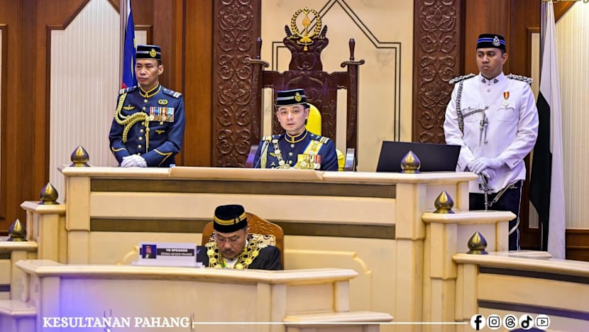 Seek consent from Pahang Sultan before military training in state, crown prince tells Malaysian Armed Forces