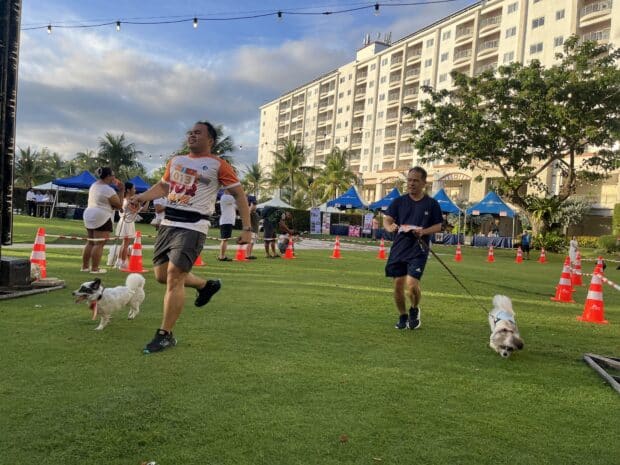 Run Fur Fun Year 2 in Mactan highlights Cebu’s growing pet-friendly lifestyle scene