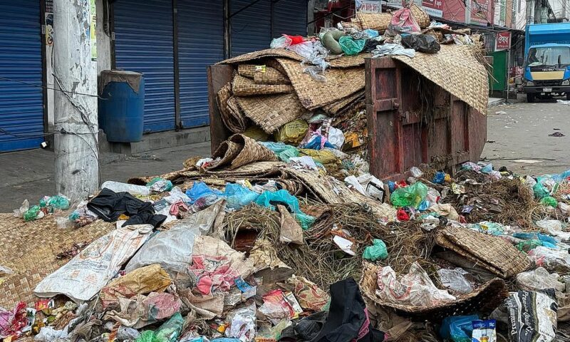 Dhaka’s 2 city corporations fail to clear all qurbani waste within 12 hrs as promised