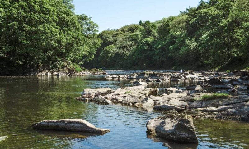 Body recovered from River Ribble after search for missing 12-year-old boy